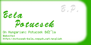 bela potucsek business card